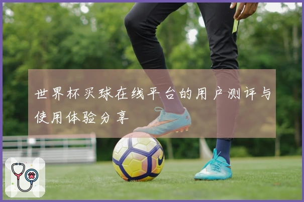 世界杯买球在线平台的用户测评与使用体验分享