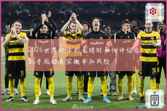 2026世界杯体彩竞猜时如何评估各队夺冠的真实概率和风险