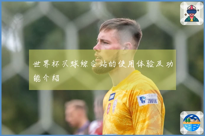 世界杯买球综合站的使用体验及功能介绍