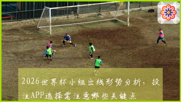 2026世界杯小组出线形势分析，投注APP选择需注意哪些关键点