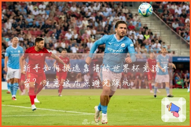 新手如何挑选靠谱的世界杯竞猜平台？注意这几点避免踩坑