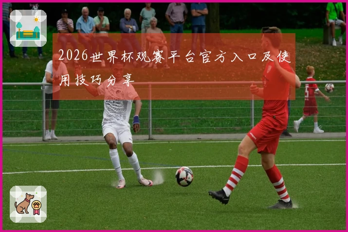 2026世界杯观赛平台官方入口及使用技巧分享