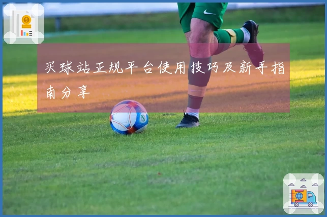 买球站正规平台使用技巧及新手指南分享