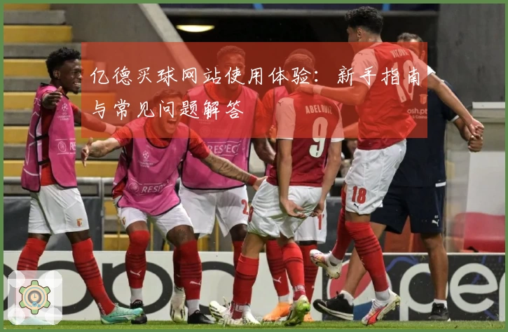 亿德买球网站使用体验：新手指南与常见问题解答