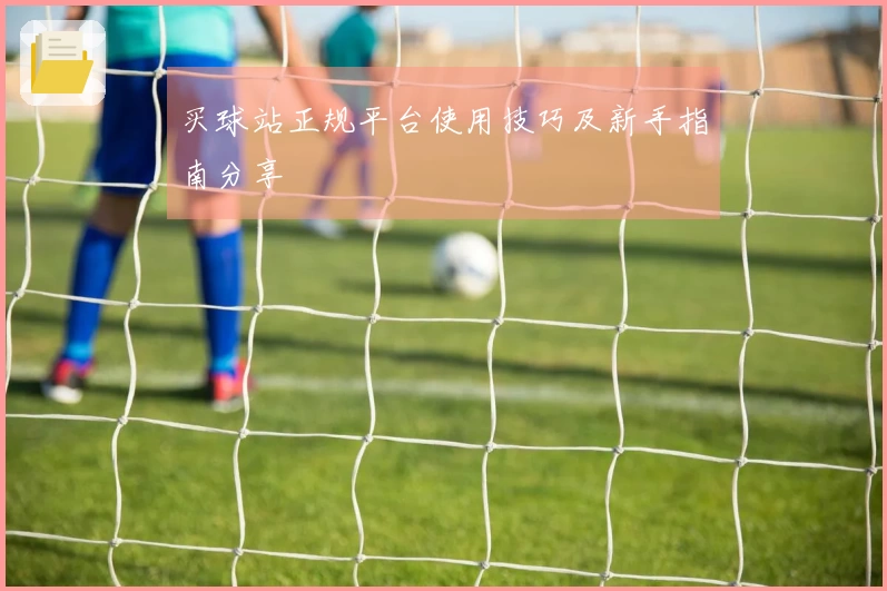 买球站正规平台使用技巧及新手指南分享