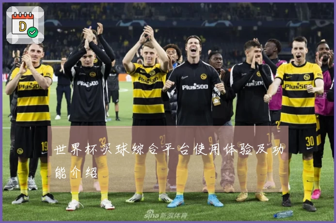 世界杯买球综合平台使用体验及功能介绍