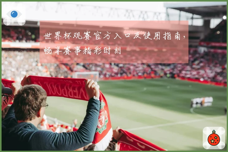 世界杯观赛官方入口及使用指南，畅享赛事精彩时刻