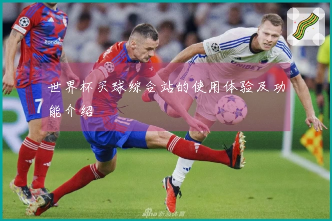 世界杯买球综合站的使用体验及功能介绍