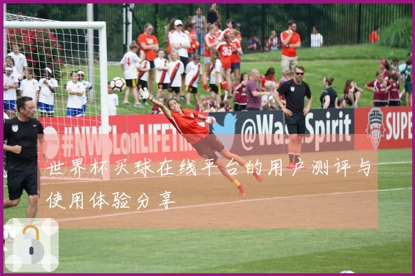 世界杯买球在线平台的用户测评与使用体验分享