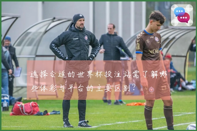 选择合适的世界杯投注站需了解哪些体彩与平台的主要区别？