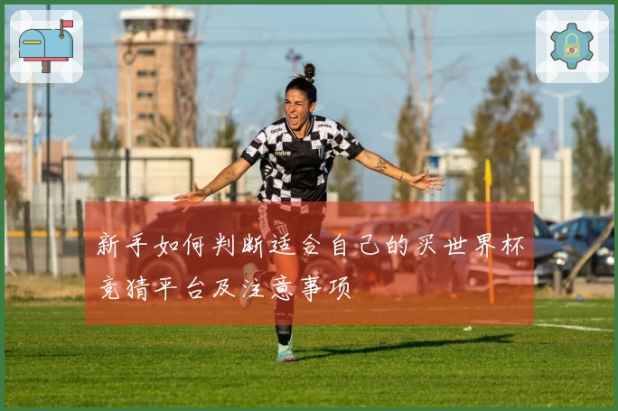 新手如何判断适合自己的买世界杯竞猜平台及注意事项