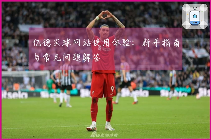 亿德买球网站使用体验：新手指南与常见问题解答